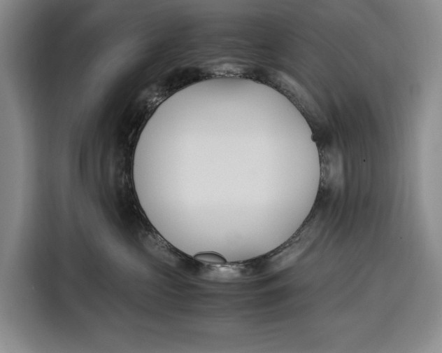 X0000115120573200911241349