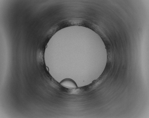 X0000115120575200911241350