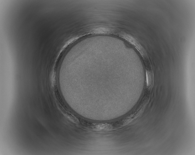 X0000115120579200911241349