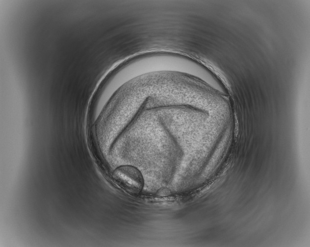 X0000115120580200911241349