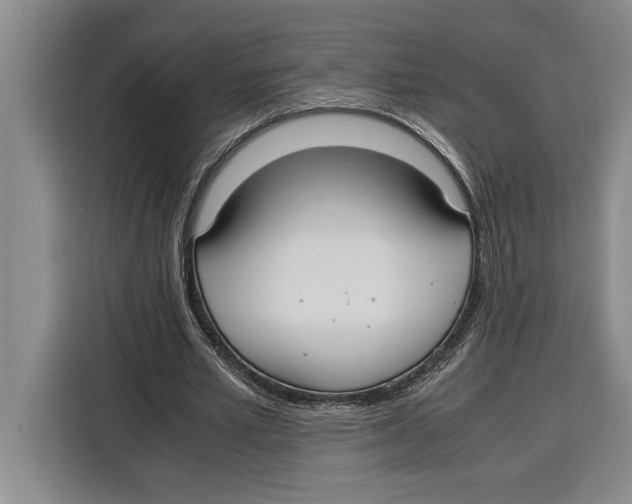 X0000115120581200911241349