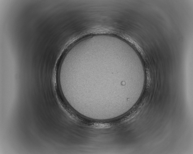 X0000115120582200911241349