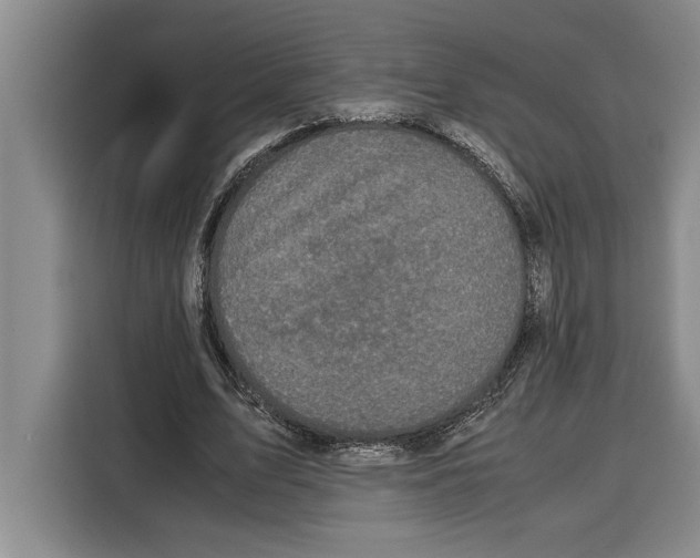 X0000115120583200911241349