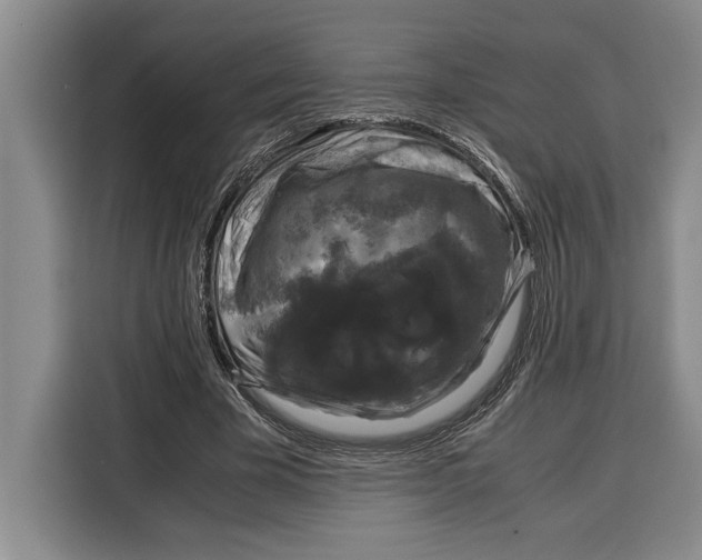 X0000115120585200911241349