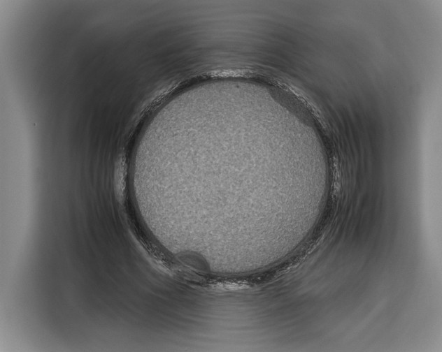 X0000115120586200911241349