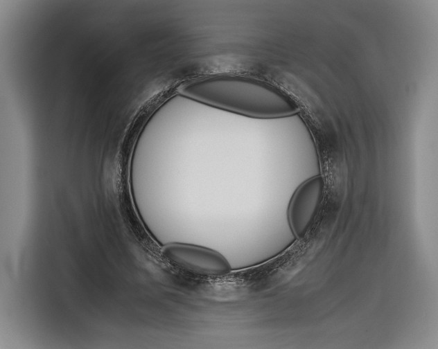 X0000115120587200911241349