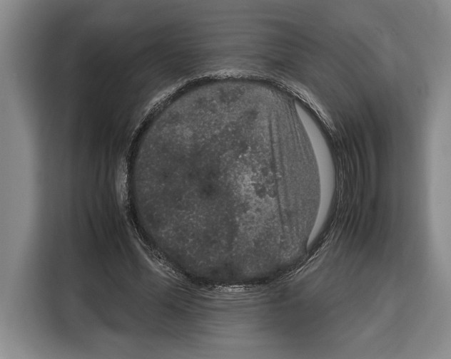 X0000115120588200911241349