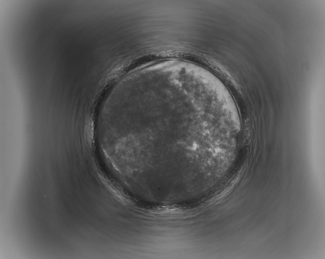 X0000115120589200911241349