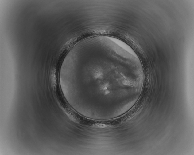 X0000115120590200911241349