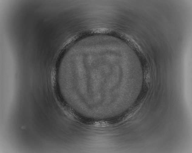 X0000115120591200911241349