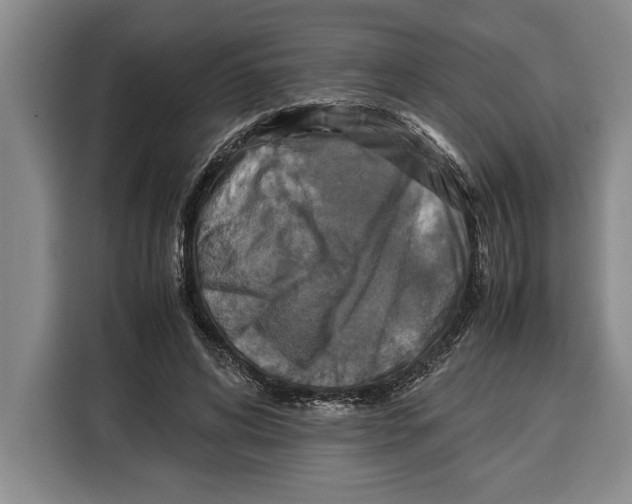 X0000115120592200911241349