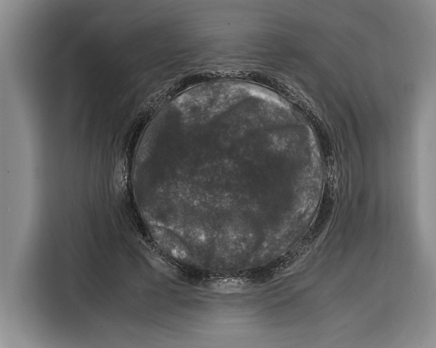 X0000115120593200911241349