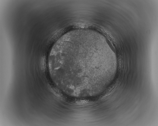 X0000115120594200911241349