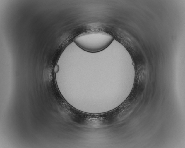 X0000115120595200911241349