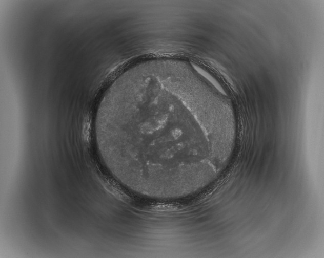 X0000115120596200911241349