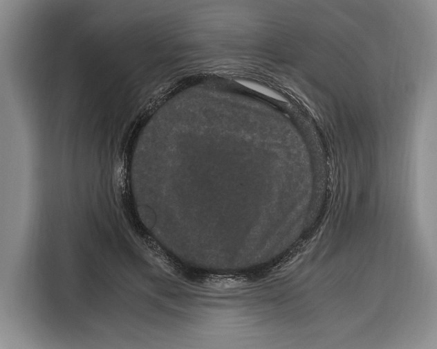 X0000115120597200911241349