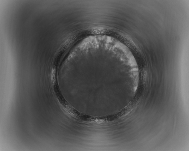 X0000115120598200911241349