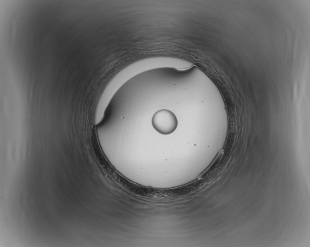 X0000115120599200911241349