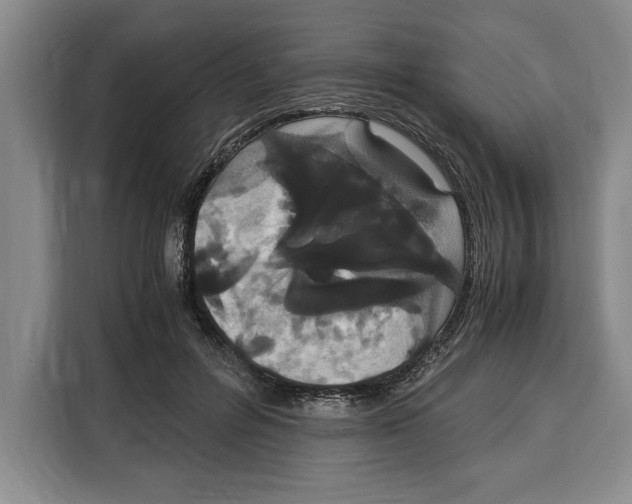 X0000115120600200911241349