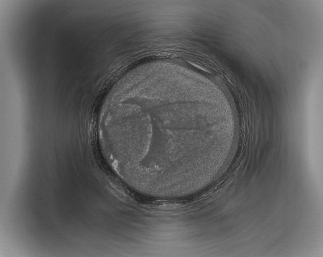 X0000115120601200911241349