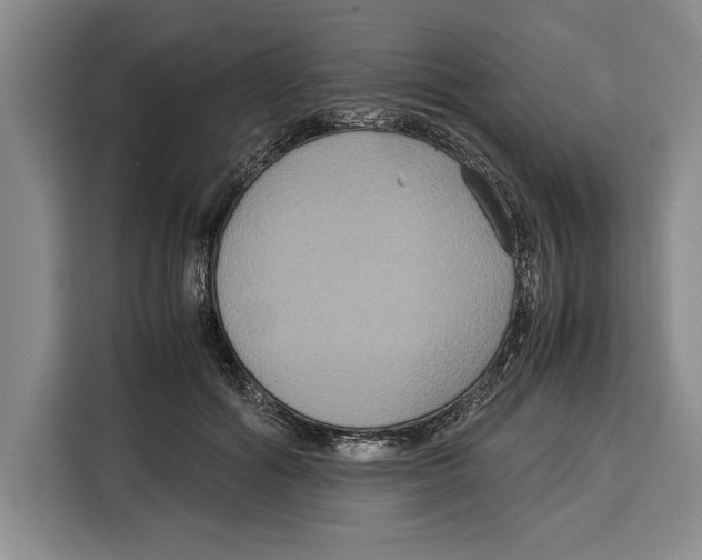 X0000115120602200911241349