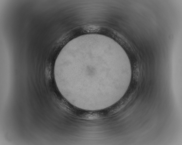 X0000115120604200911241349