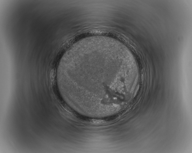 X0000115120605200911241349