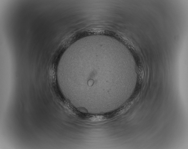 X0000115120609200911241348