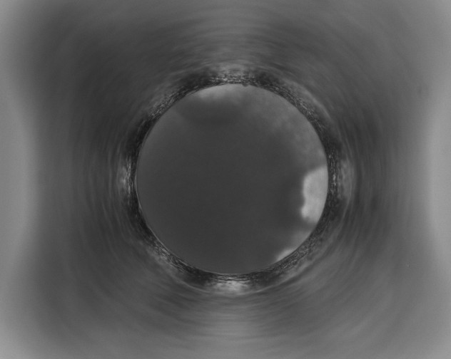 X0000115120610200911241348