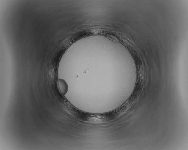 X0000115120611200911241348