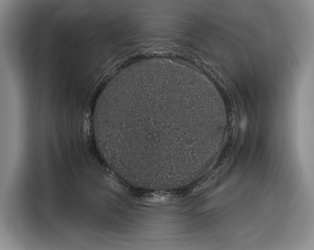 X0000115120612200911241348