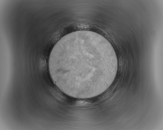 X0000115120614200911241348