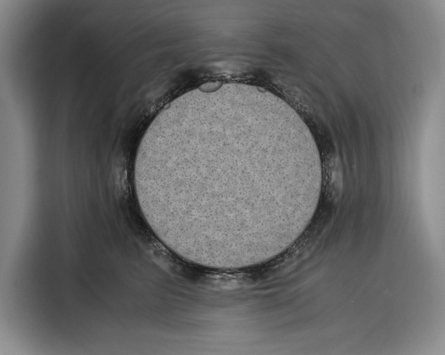 X0000115120615200911241348