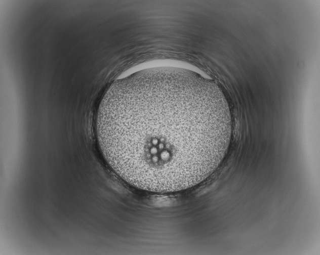 X0000115120616200911241348