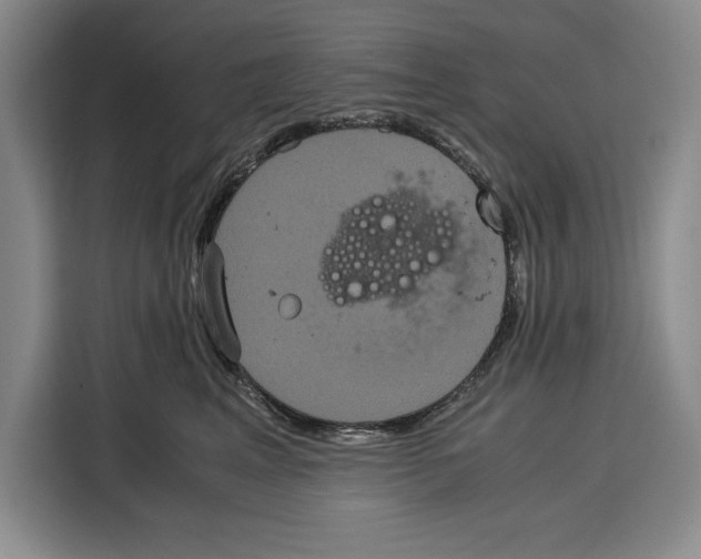 X0000115120617200911241348