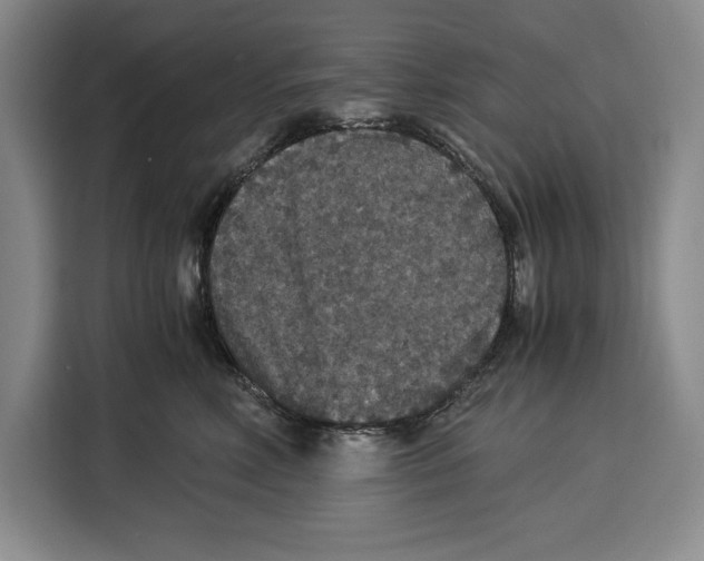 X0000115120618200911241348