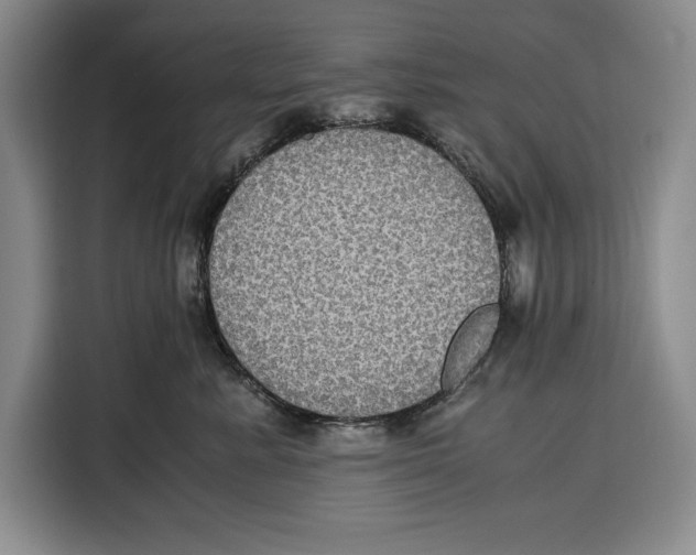 X0000115120619200911241348