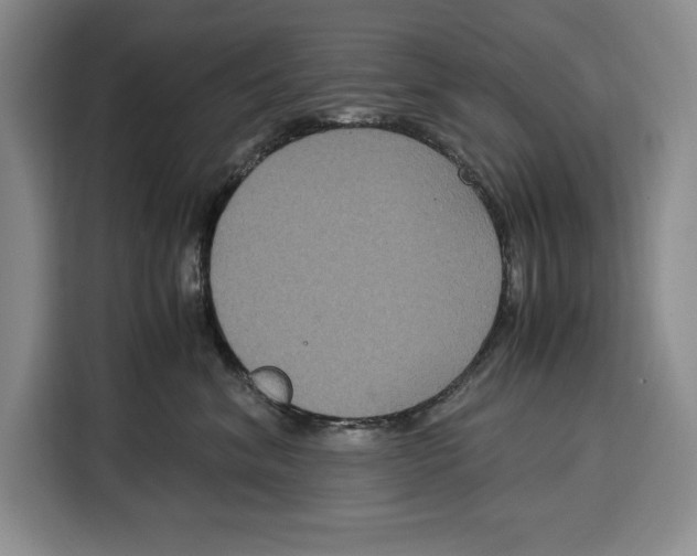 X0000115120620200911241348