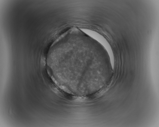 X0000115120621200911241348