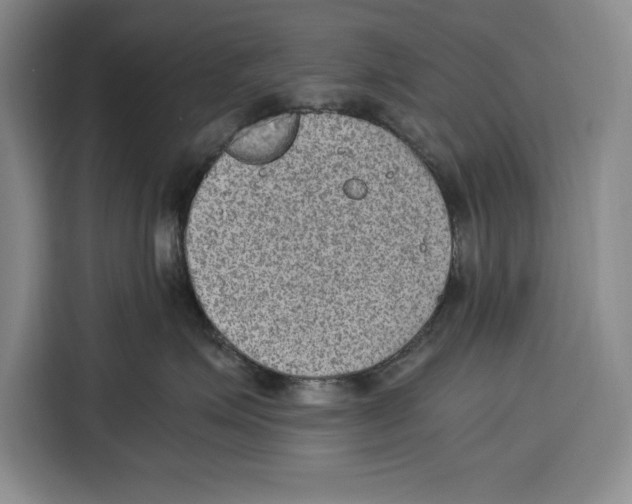 X0000115120623200911241348