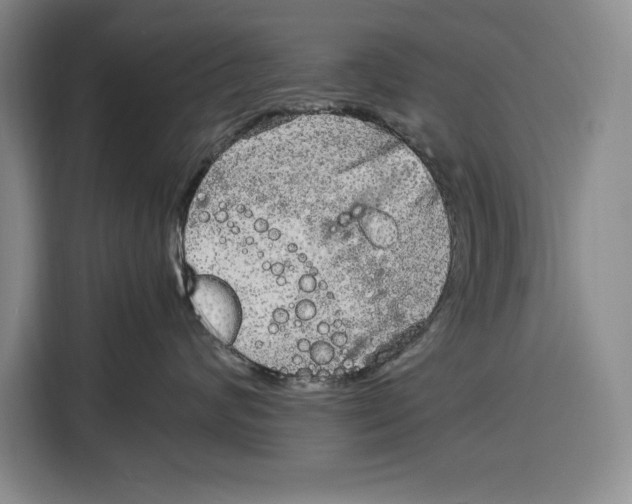 X0000115120624200911241348