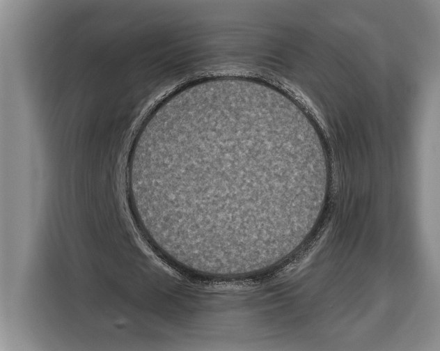 X0000115120625200911241348