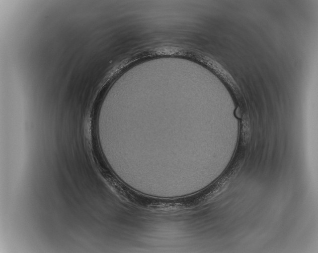 X0000115120626200911241348