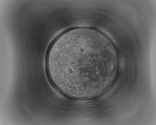 X0000115120629200911241348