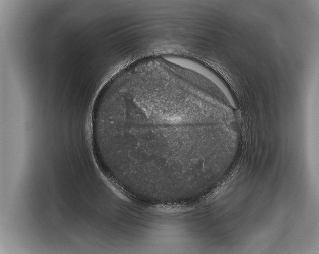 X0000115120630200911241348