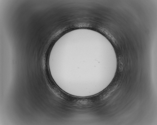 X0000115120631200911241348