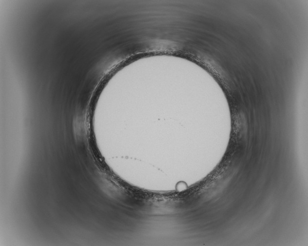 X0000115120632200911241348