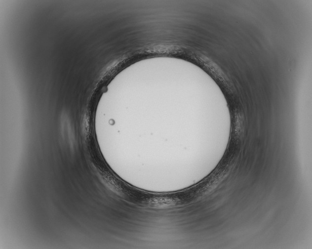 X0000115120636200911241348