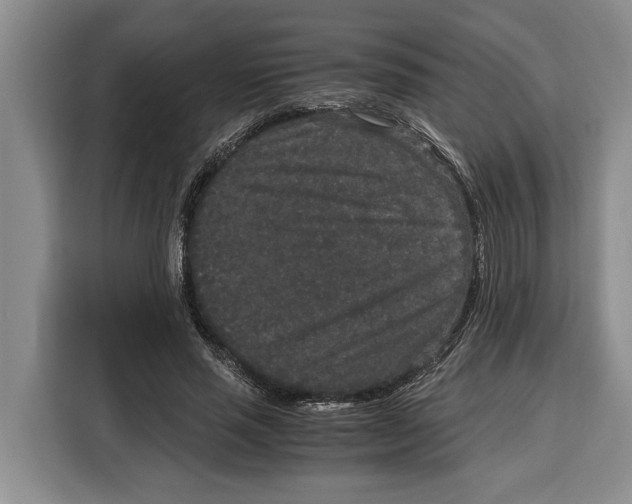 X0000115120637200911241348