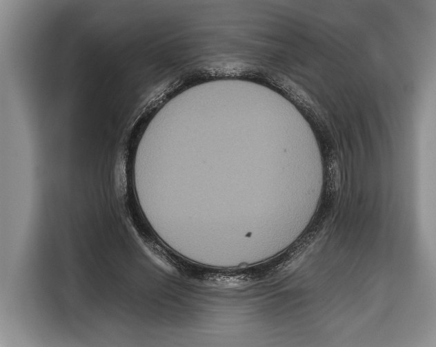 X0000115120638200911241348